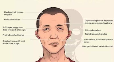 What the ancient knew gallery image