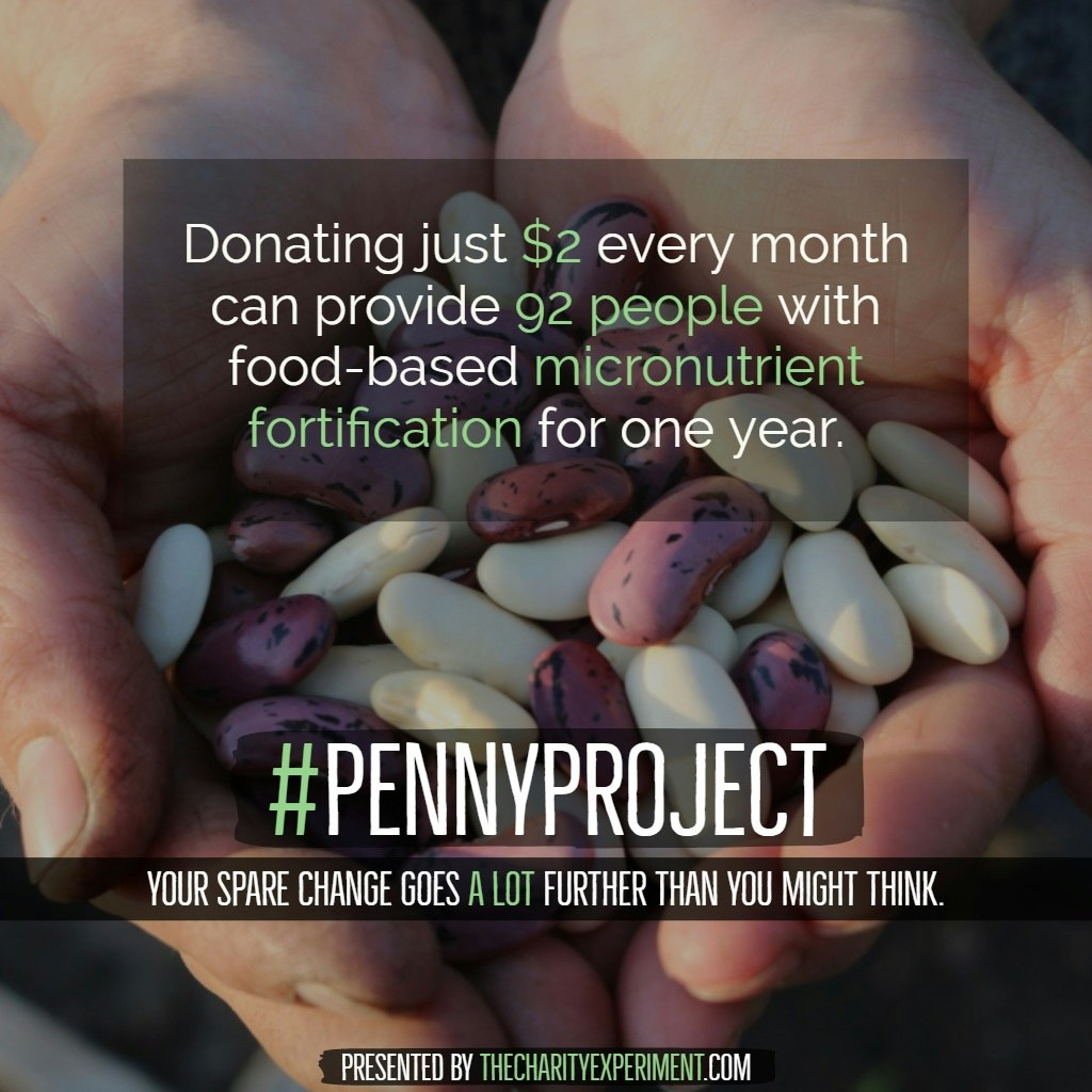 The Charity Experiment gallery image