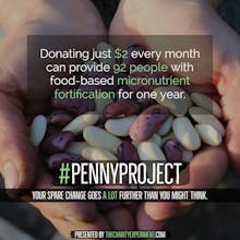 The Charity Experiment gallery image