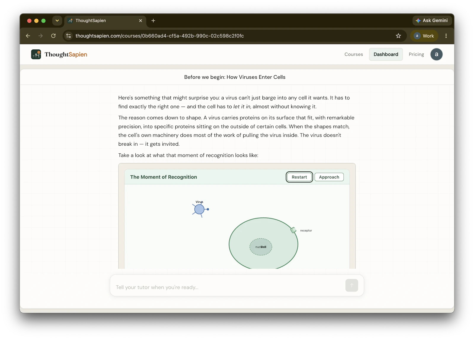 ThoughtSapien screenshot 2