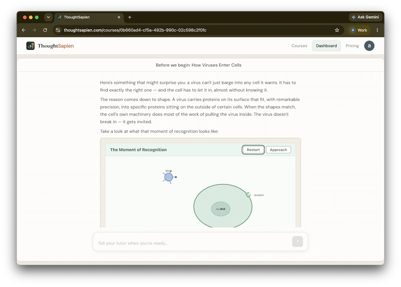 ThoughtSapien screenshot 2