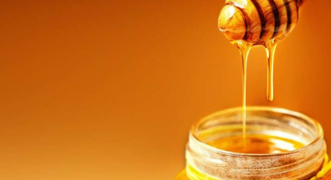 toko madu murni jogja