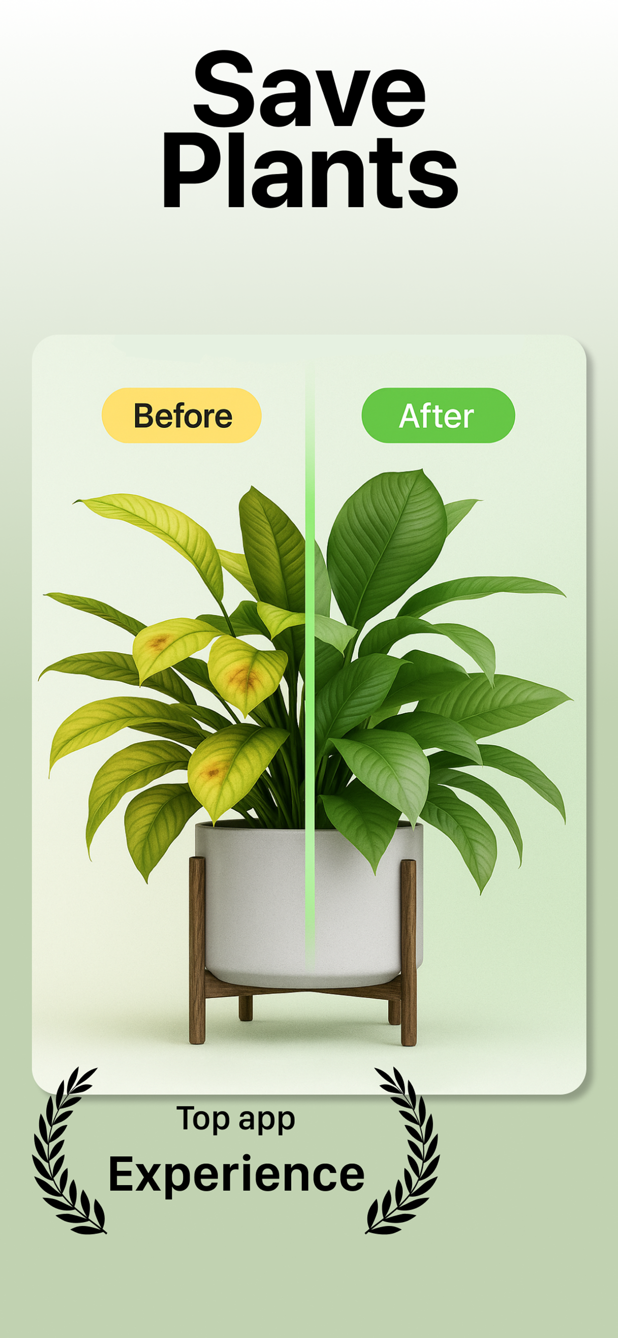 PlantMD gallery image