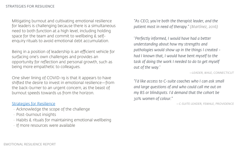 The Emotional Resilience Report gallery image