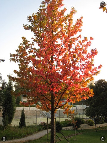 Memories gallery image