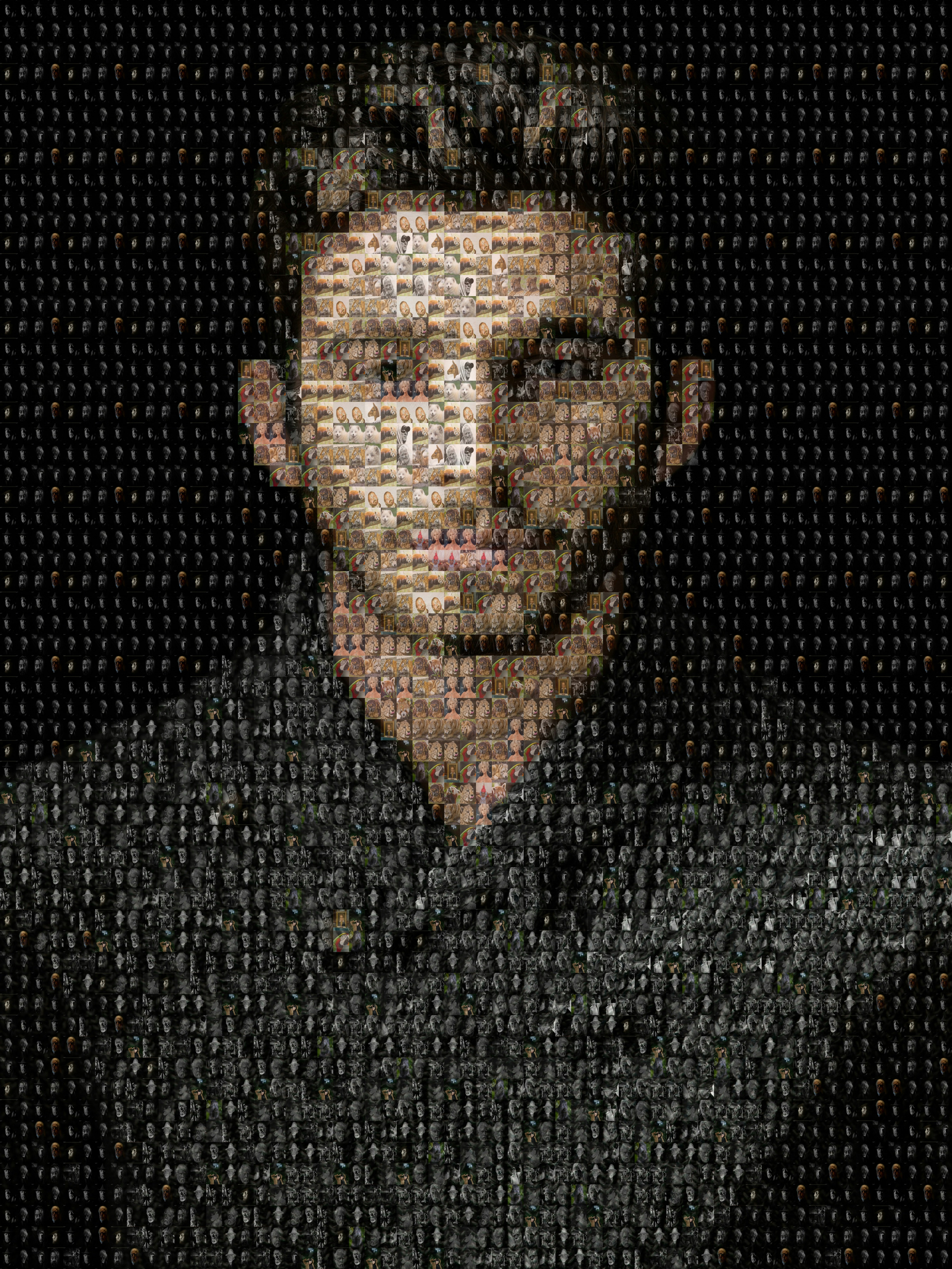 Photomosaic gallery image