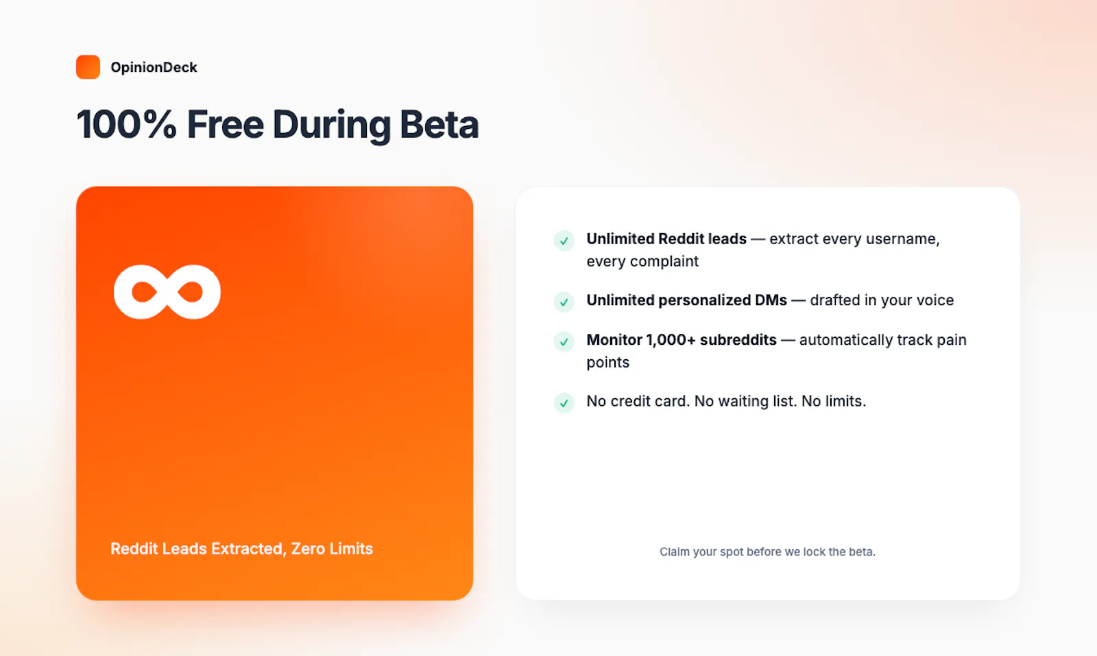 OpinionDeck screenshot 2