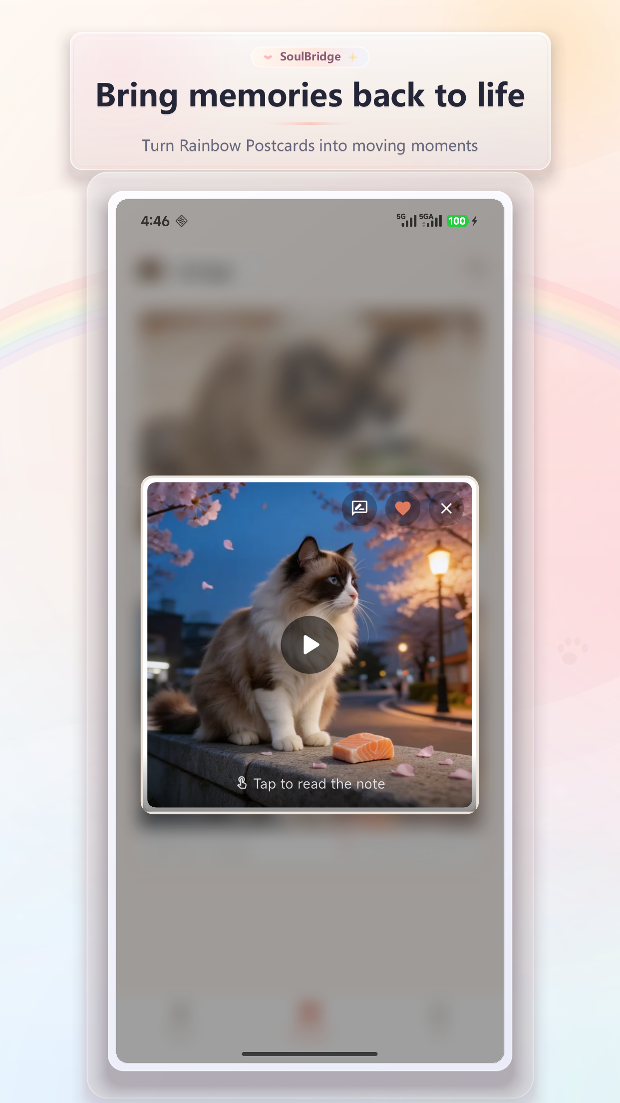 SoulBridge gallery image