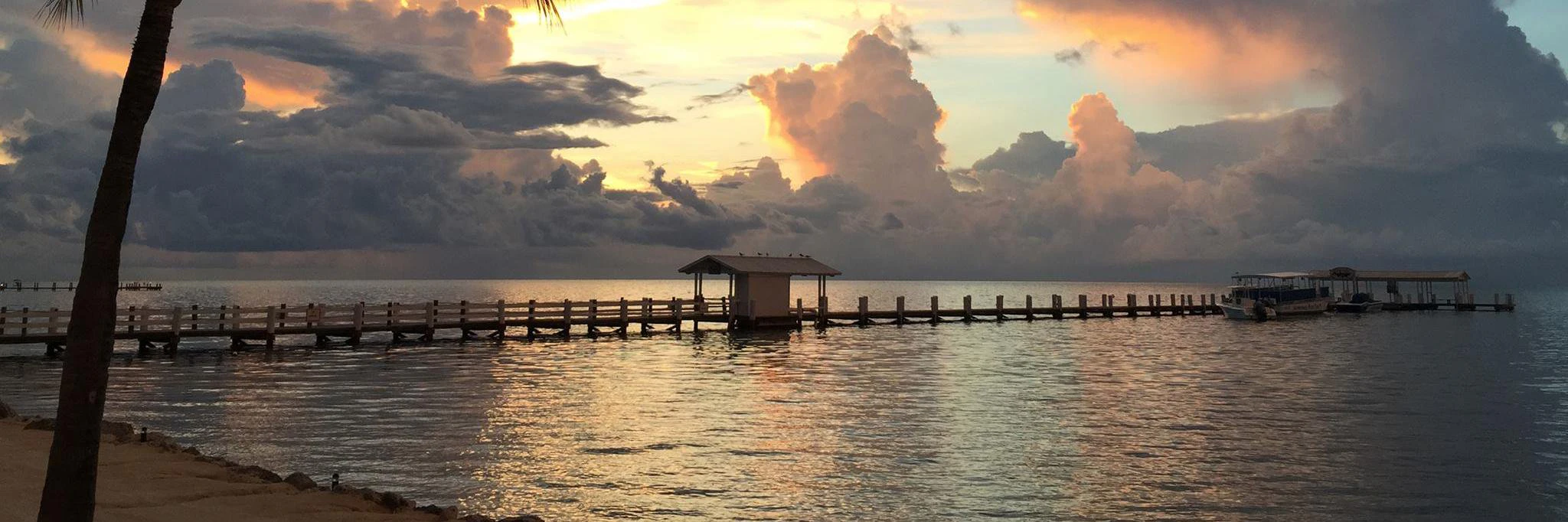 Michael Newman cover