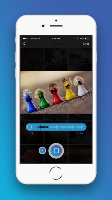 Say-so gallery image