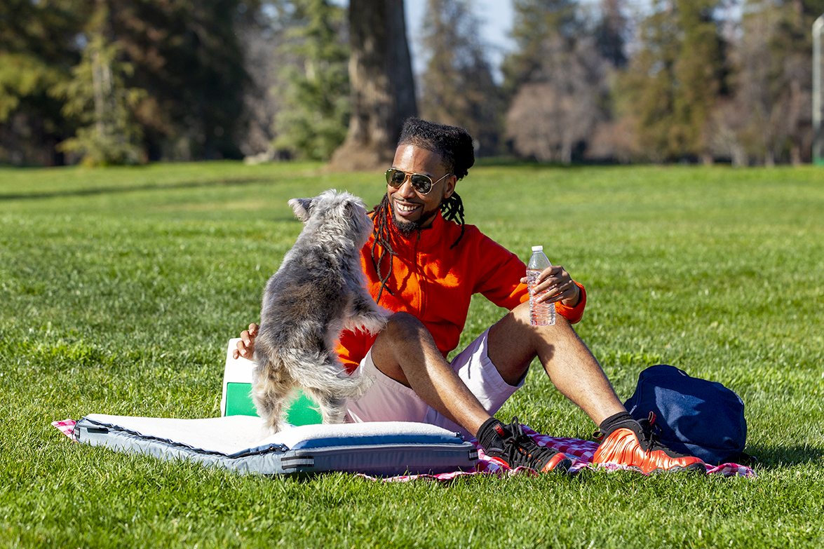 Ruffrest® Ultimate Dog Yatak - James Bond ve Müfettiş Gadget bir köpek yatağı yapsaydı medya 18