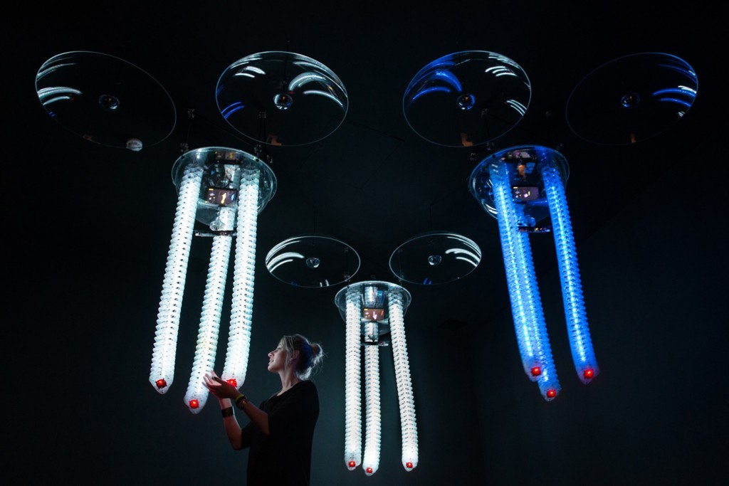 Petting Zoo FRAC Centre