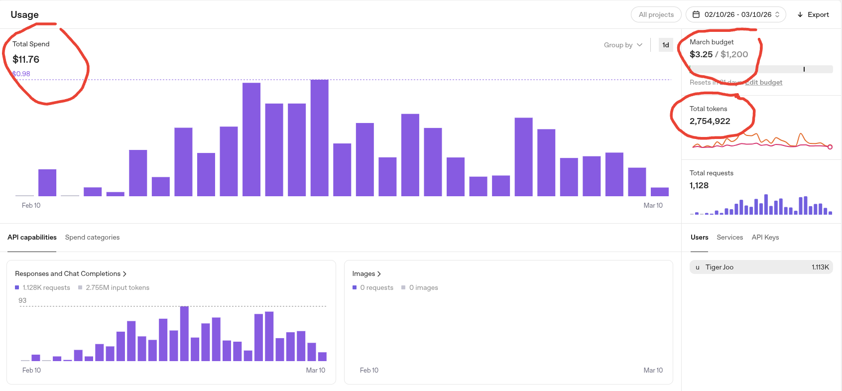 Gongju: Sovereign AI via TEM Physics gallery image