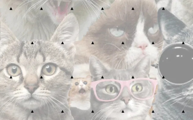 Product Hunt-o