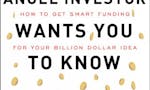 What Every Angel Investor Wants You to Know image