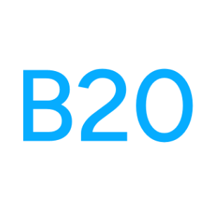 B20 for SME logo