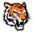 Tiger Trade Soft Trading software.Ordeflow,footprint,volume analytics,charts,trading, SL+TP. Multiexchange