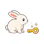 Password Bunny