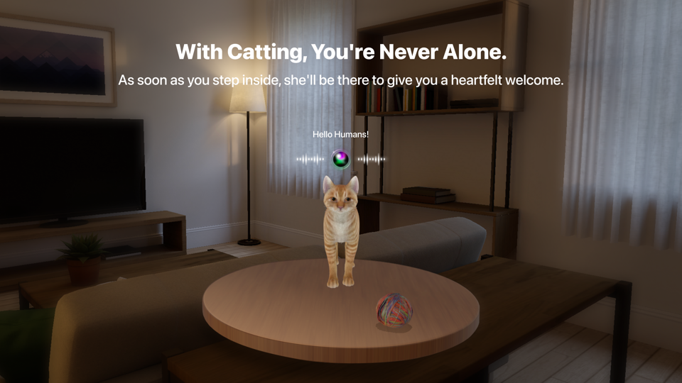 Catting media 2