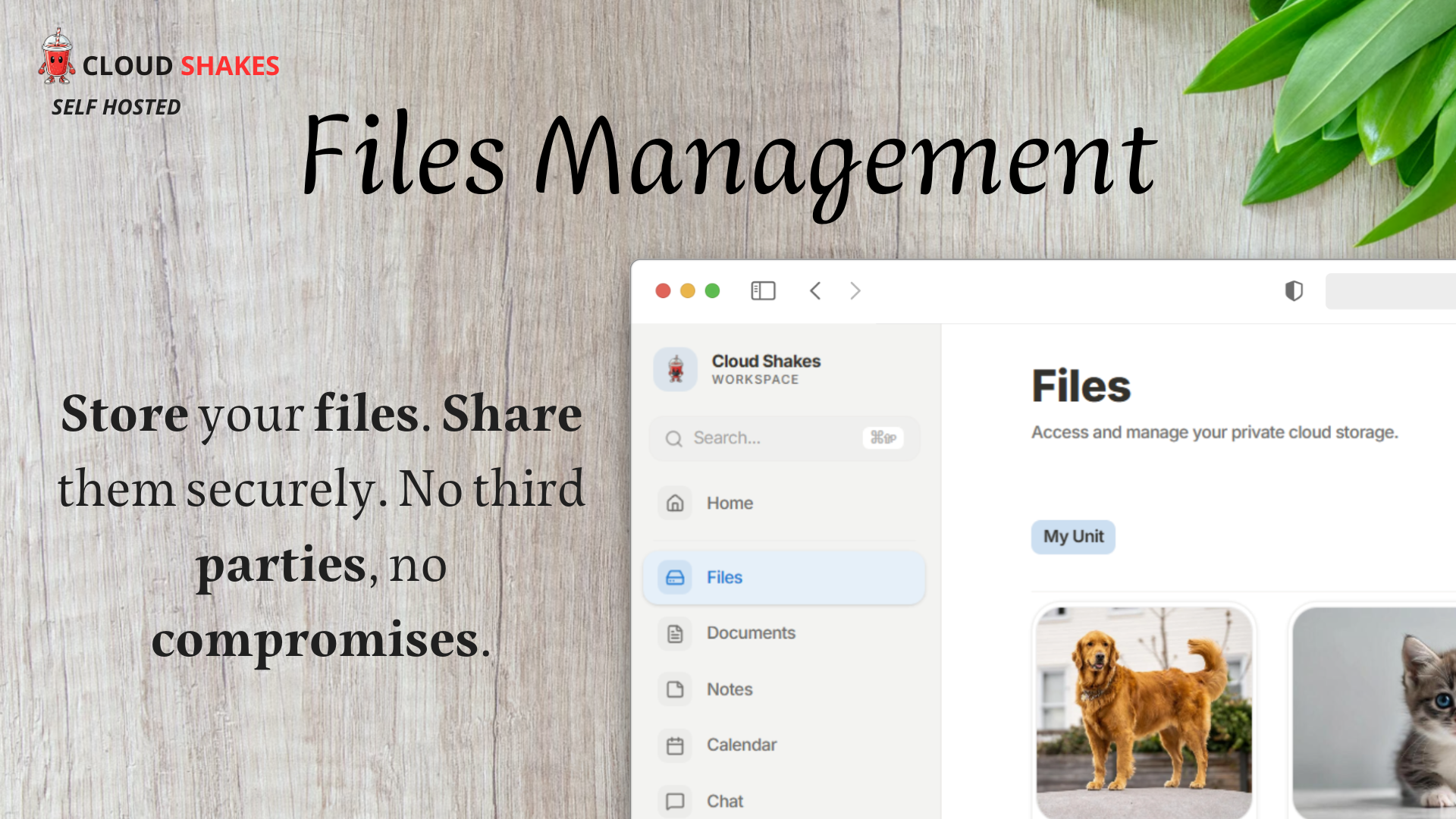 Cloud Shakes gallery image
