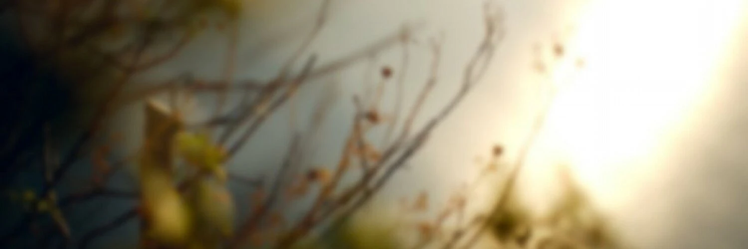 Laurent Goussard cover