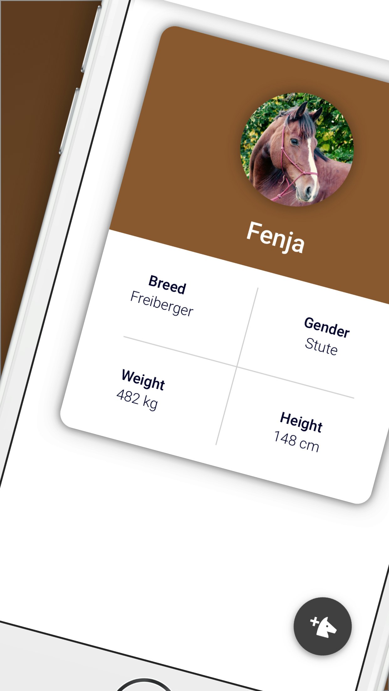 sayblake - horse management gallery image