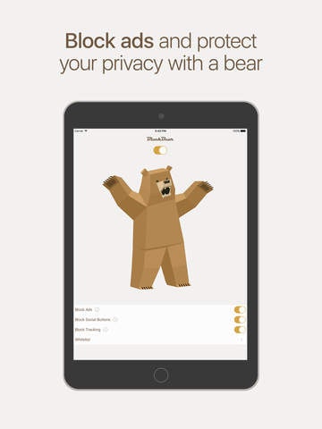 BlockBear gallery image