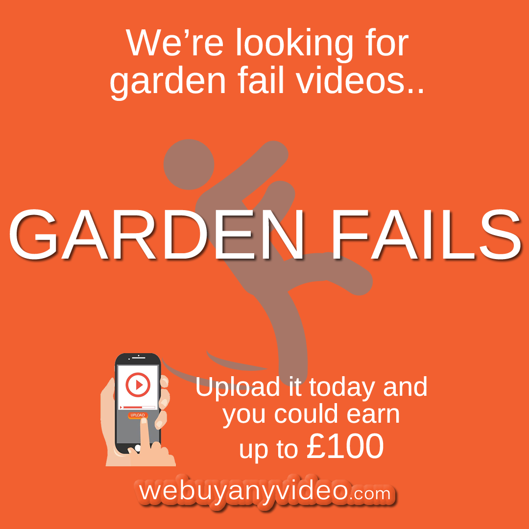 We Buy Any Video gallery image