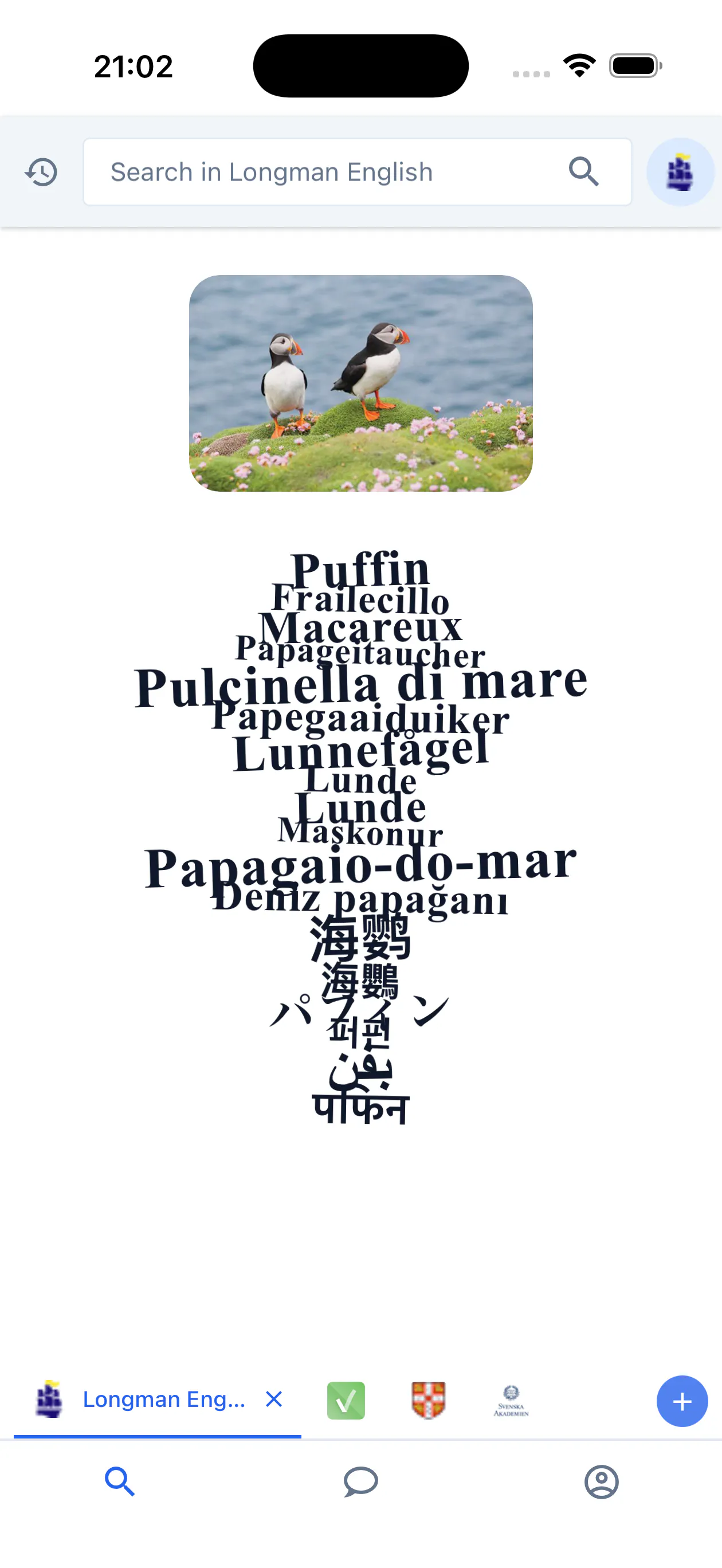 Puffins gallery image