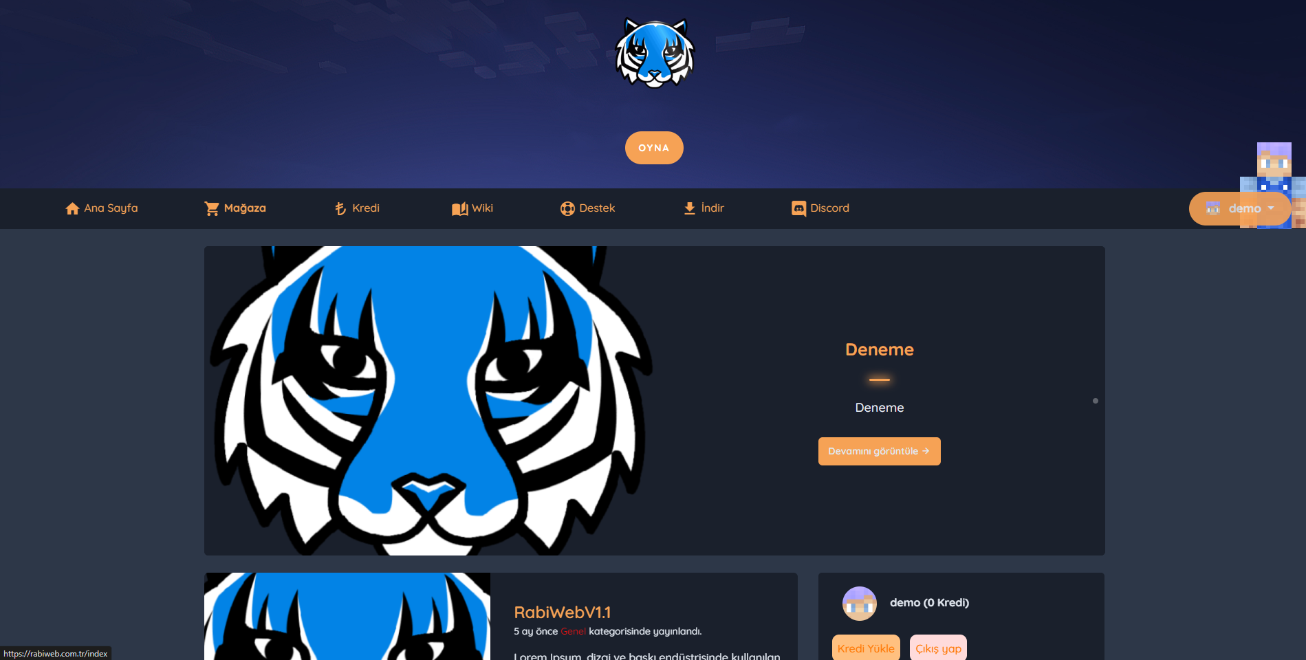 Rabiweb gallery image