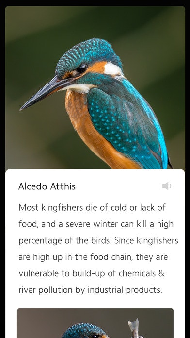 Gardex gallery image