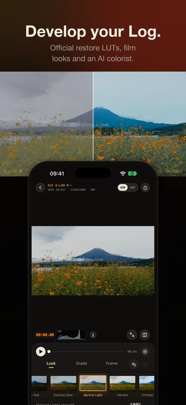 Develop Log: Color Grading gallery image