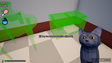 This & Cats gallery image