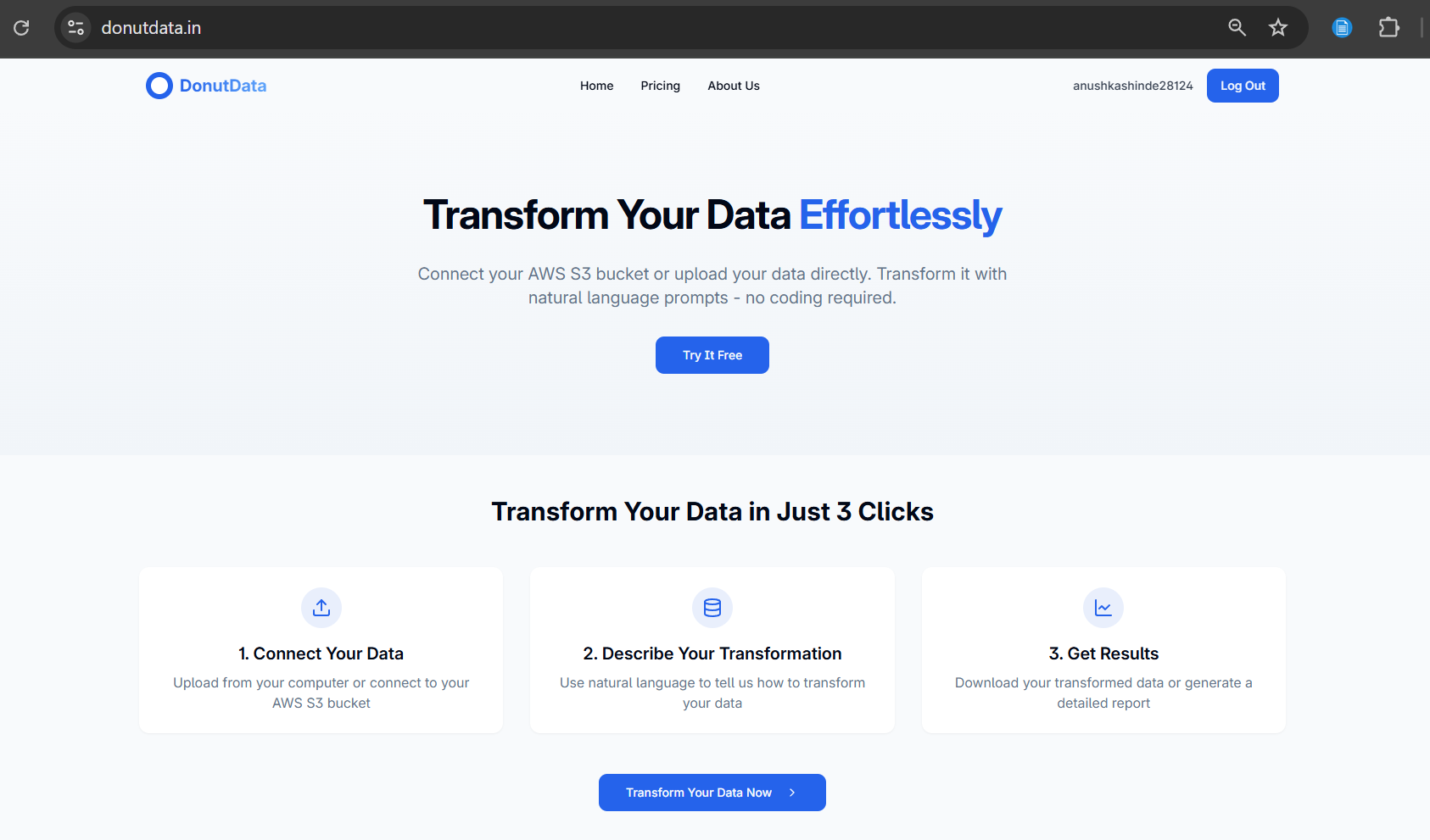 DonutData - From chaos to clean data — just with a prompt. media 2