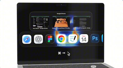 Wins 3 gallery image