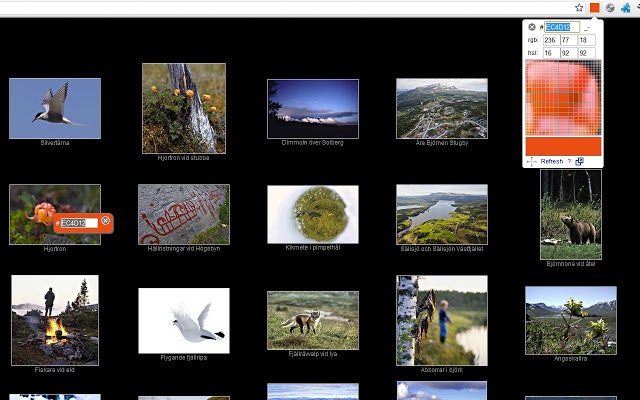 ColorPick Eyedropper gallery image