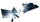 Perennial