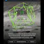 BitTorrent Now