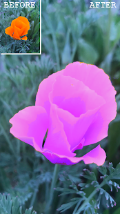 ColorSurge - Recolor photos gallery image