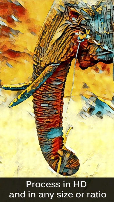 Painnt gallery image