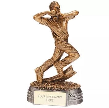 Cricket Trophies Online gallery image
