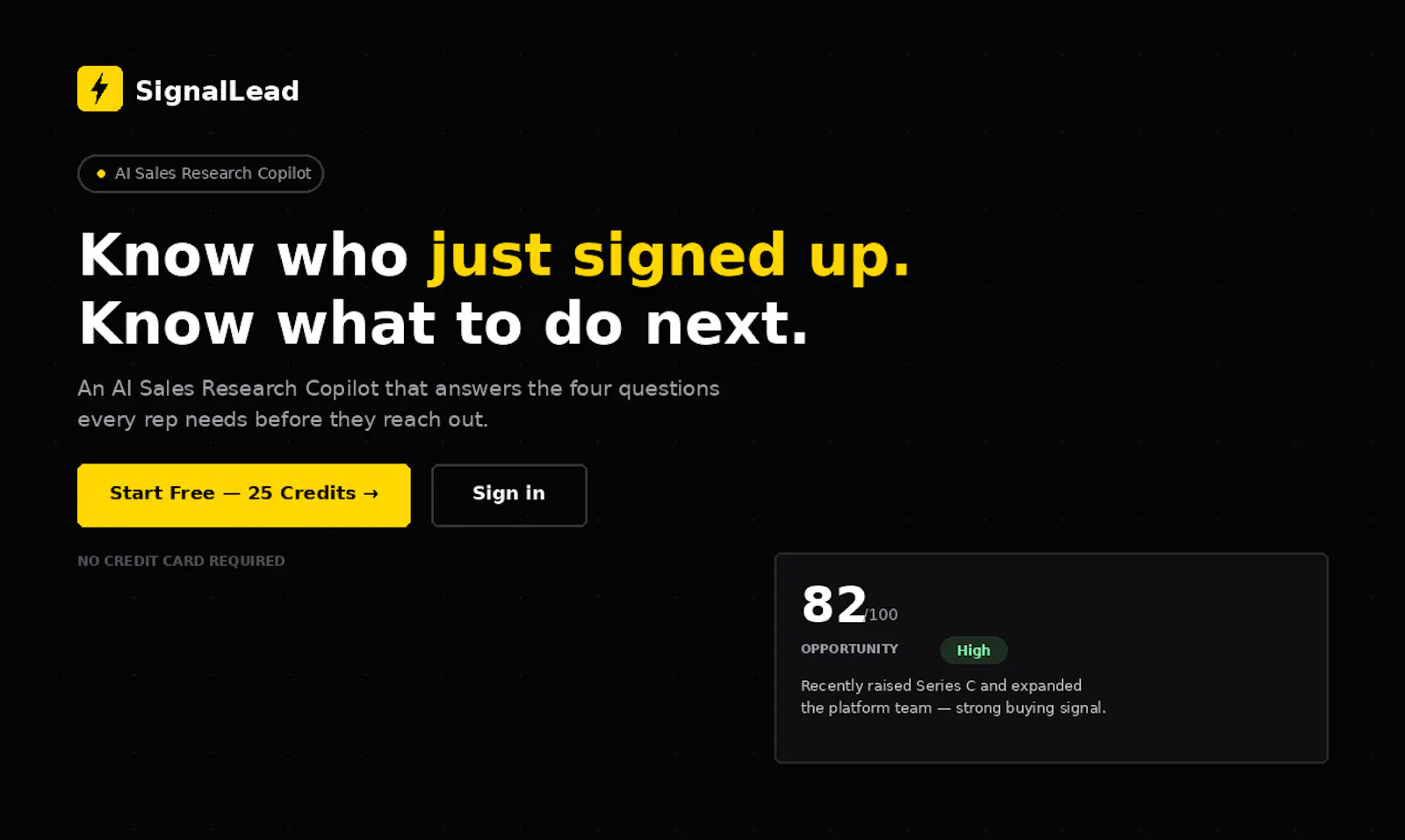 SignalLead AI screenshot 1