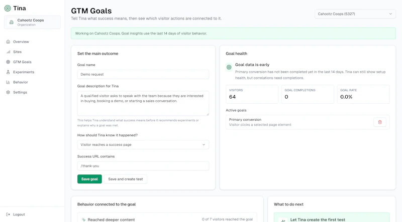 Tina - Automated GTM screenshot 1