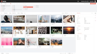 WoodWing Swivle gallery image