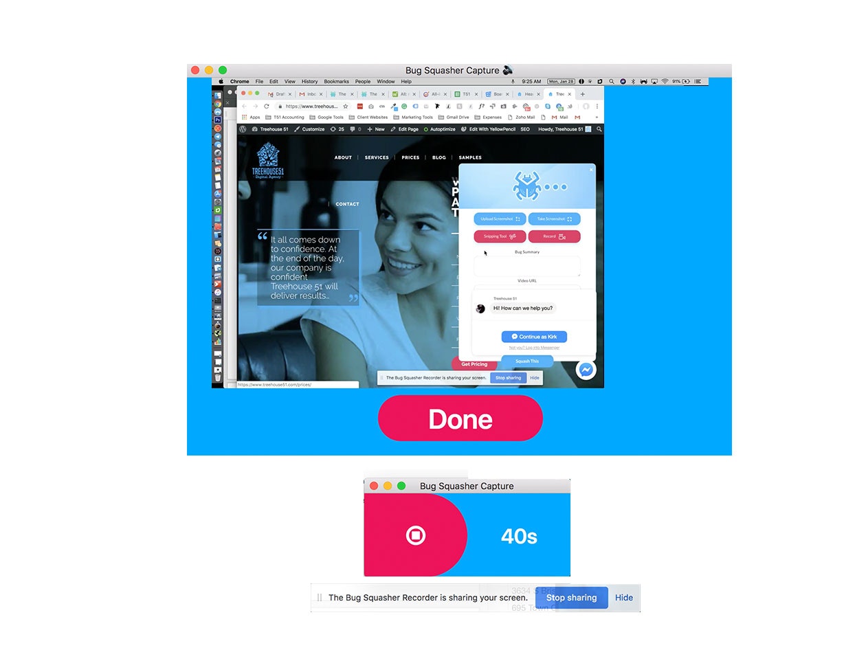 The Bug Squasher gallery image