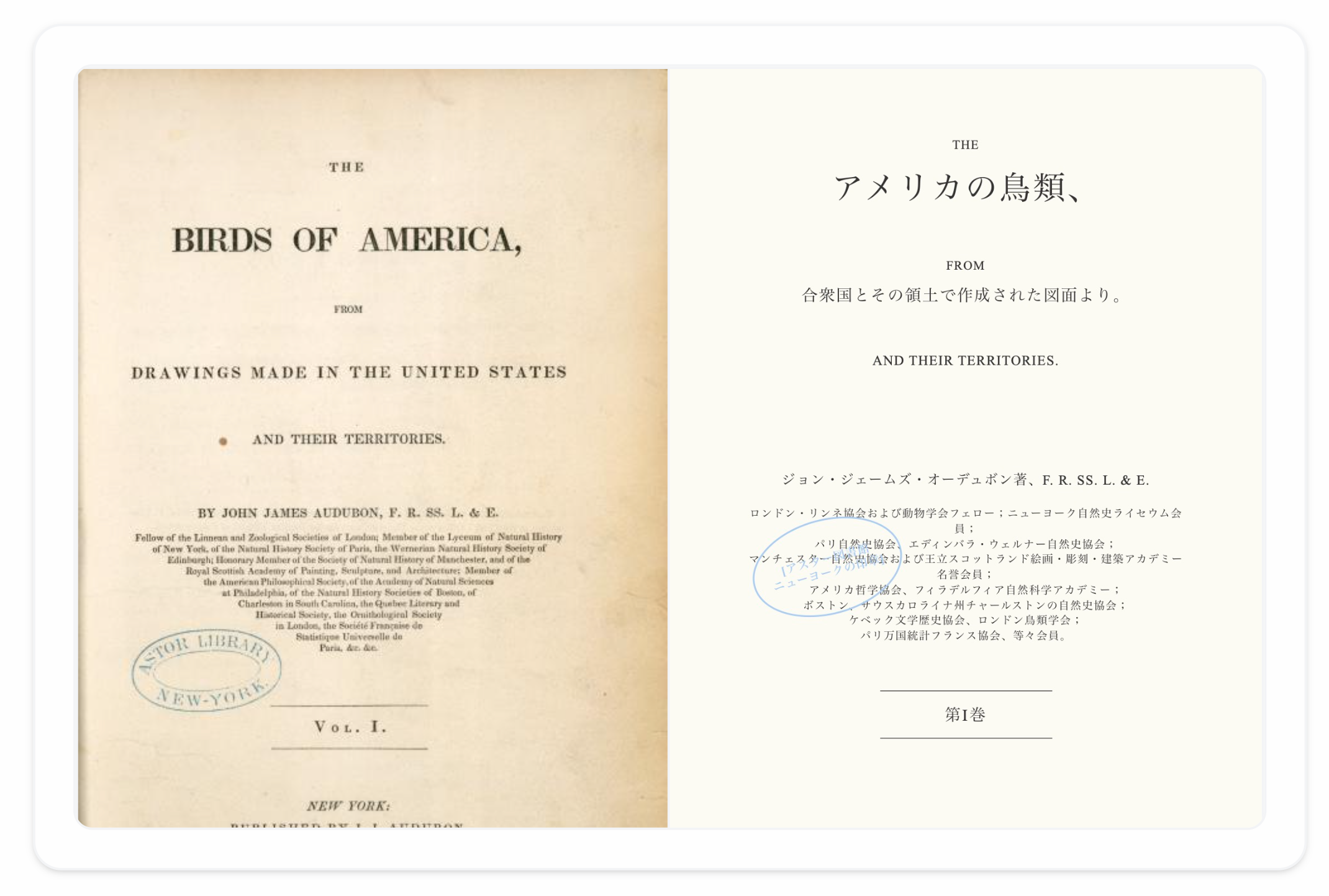 SCANNED.TO gallery image