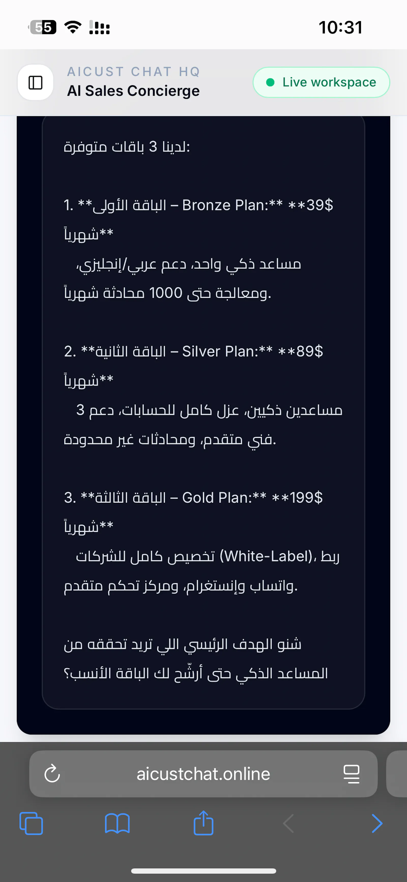 AICUST CHAT screenshot 2