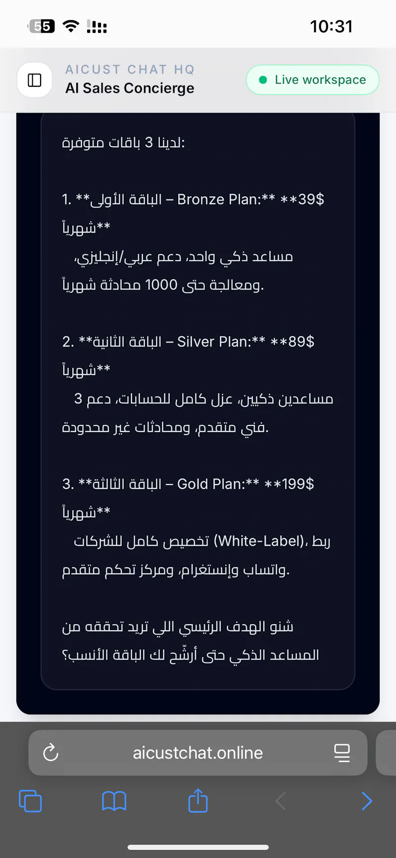 AICUST CHAT screenshot 2
