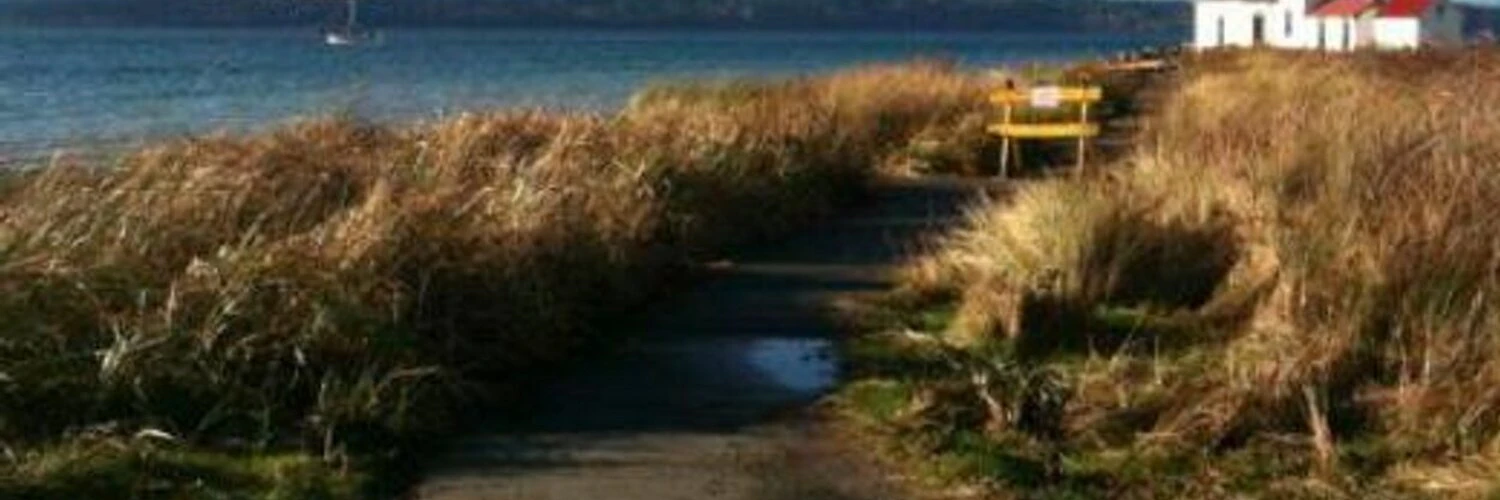 Daniel Pearson cover