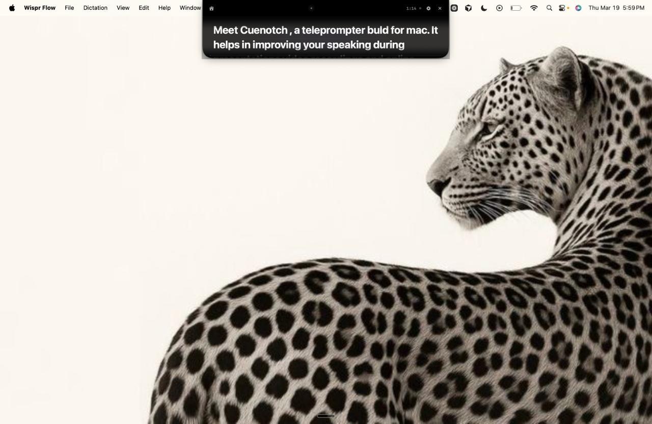 CueNotch gallery image